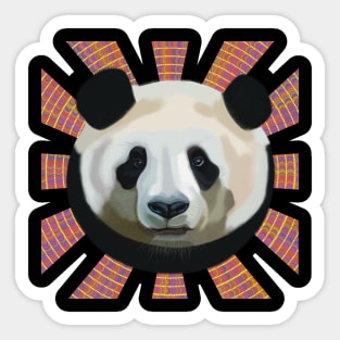 Striking Panda bear on Psychedelic patterned sun rays Sticker